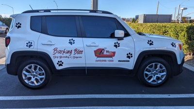 vehicle graphics Photo